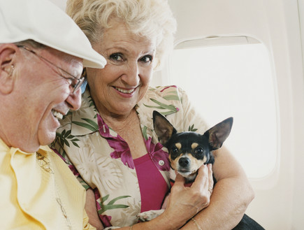 נוסעים וכלב במטוס (צילום: אימג'בנק / Thinkstock)