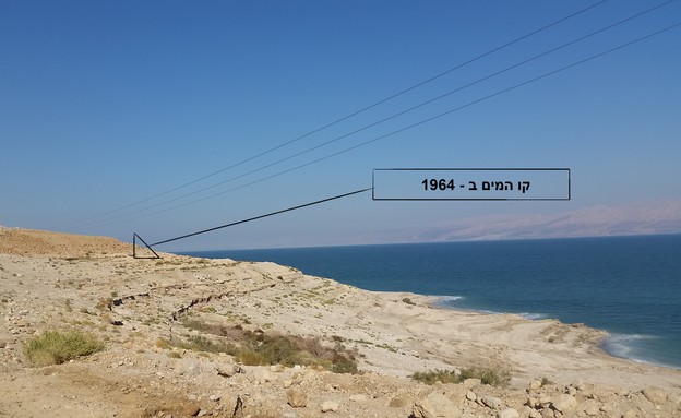 קו המים - ים המלח  (צילום: רותם קפלינסקי, mako חופש)