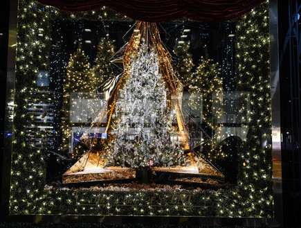 חג המולד, Bloomingdale, ניו יורק (צילום: popsugar.com.au)