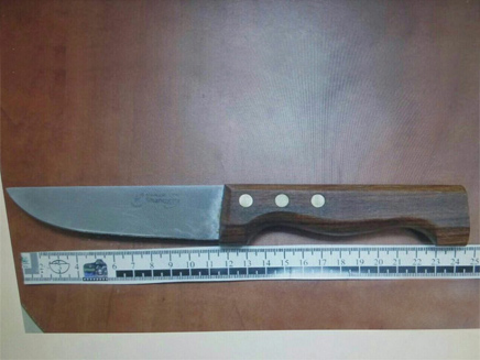 הסכין עמה התכוון הנער לדקור יהודים (צילום: חטיבת דובר המשטרה)