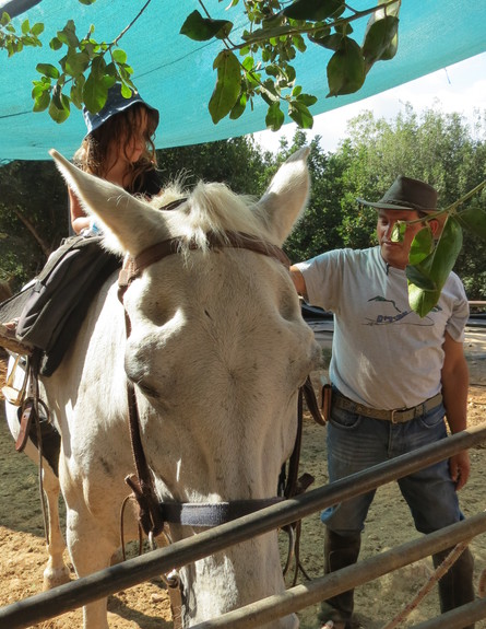 משק חפר - פסטיבל חורף זמן גליל מערבי (צילום: מיכל שילוח)