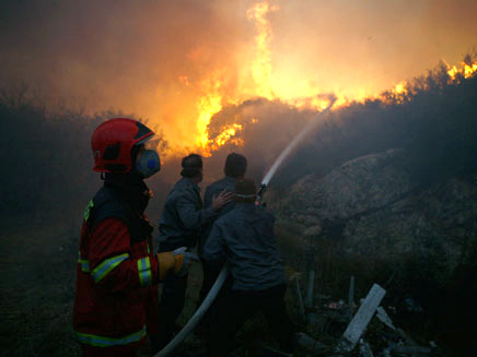 שריפת הענק, המדינה תפצה (צילום: רויטרס)