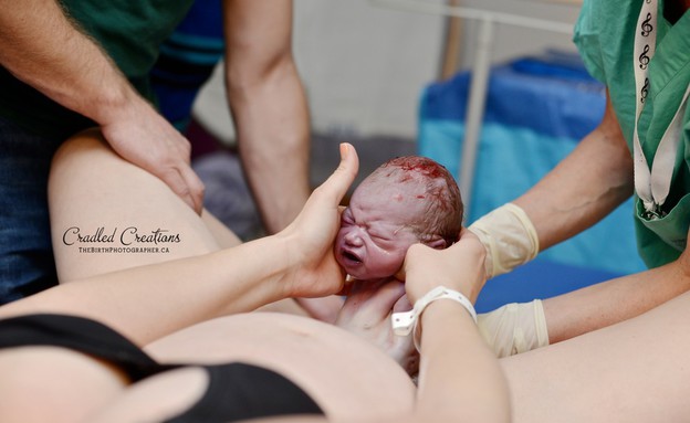 לידה - תינוק נולד  (צילום: cradledcreations.com)