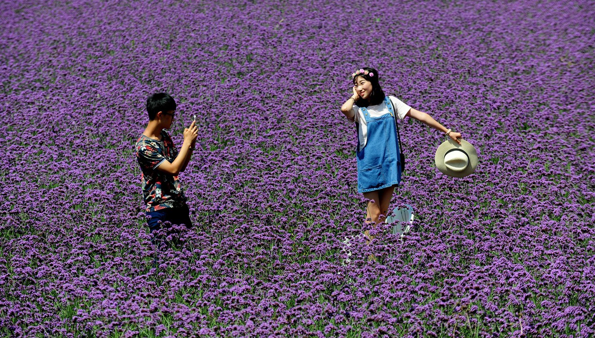 12.8 שני צעירים בשדה פרחים בסין