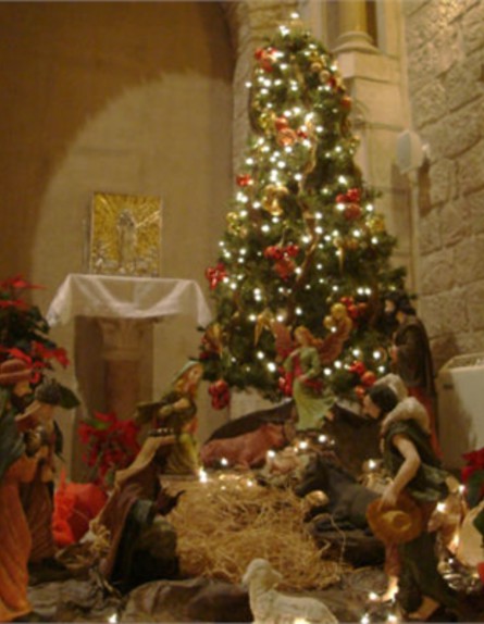 סיורי חג המולד בית שמואל (צילום: יח