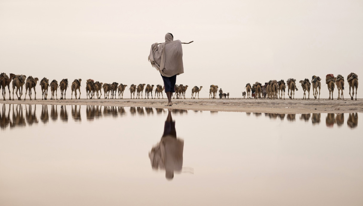 כורה מלח בדרך למכרה עם גמליו, אתיופיה