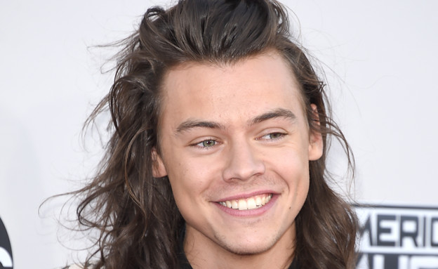 הארי סטיילס הארי סטיילס