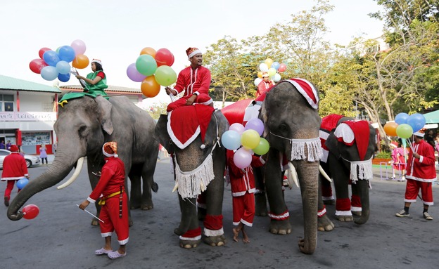 חיות הן חלק בלתי נפרד מהחגיגות. תאילנד (צילום: רויטרס)