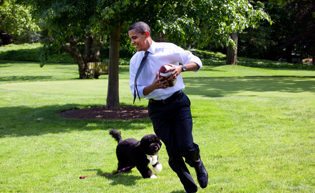 ברק אובמה משחק פוטבול עם הכלב בו על מדשאת הבית הלבן, 2009 (צילום: The White House, GettyImages IL)