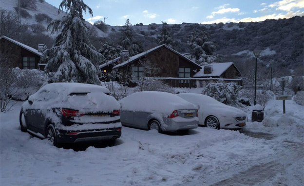 שלג במרום גולן, הבוקר (צילום: ערן גליק)