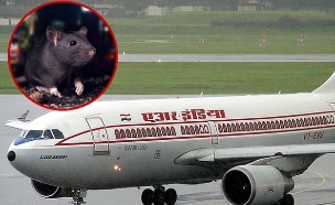 עכברוש על המטוס (צילום: עיבוד: Christian Junker | Photography, Flickr CC BY-NC-ND 2.0 / Thinkstock)