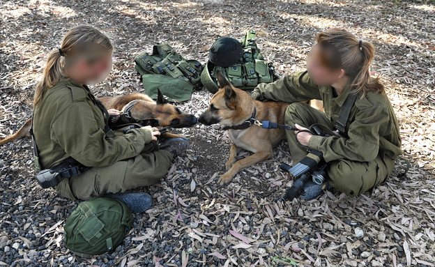 מאיר אזולאי2 (צילום: מאיר אזולאי)