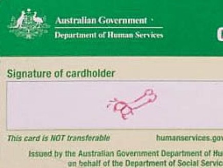 חתימה של זין