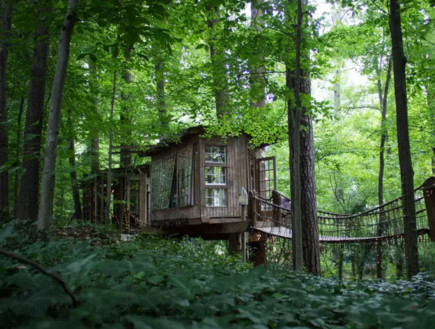 בית עץ באטלנטה (צילום: Airbnb)