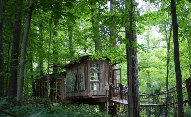 בית עץ באטלנטה (צילום: Airbnb)