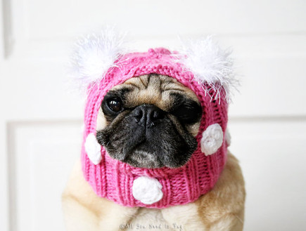 כובע לכלב (צילום: מתוך etsy)