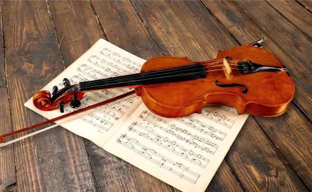כינור (צילום: Billion Photos, Shutterstock)
