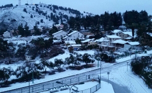 שלג במטולה (צילום: שלומי אפריאט)
