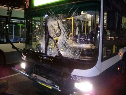 האוטובוס הפוגע ביפו (צילום: דוברות מד