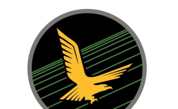 סמל האדיר (צילום: אתר חיל האוויר)