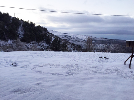 שלג נערם ברמת הגולן (צילום: ראובן בן ארוש)