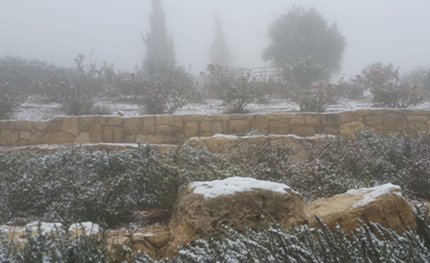 בוקר לבן חלקית בהר אדר (צילום: חדשות 2)