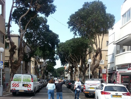 מדרחוב נורדאו בחיפה בו היה ממוקם מועדון יריחו (צילום: באדיבות ויקיפדיה, Nirvadel)