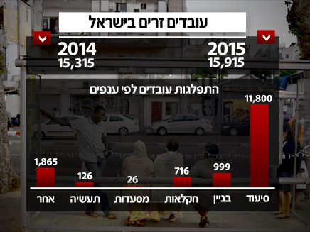 באילו משרות מועסקים העובדים הזרים? (צילום: פלאש 90, תומר ניוברג)