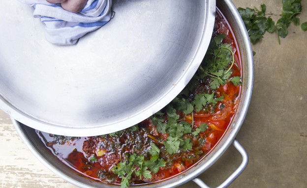 דג מרוקאי - הקוסם