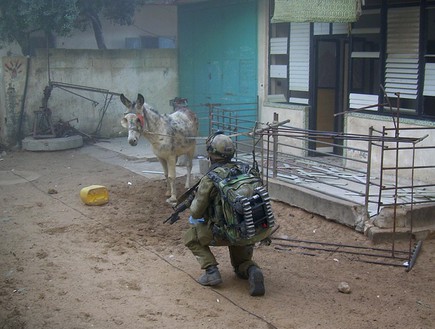 אוהד אבידר (צילום: אלה ברק)