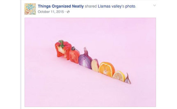 פייסבוק להשראה,ירקות מסודרים להפליא (צילום: מתוך things organized neatly. צילום מסך)