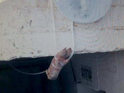 רגל חזיר בכניסה לבית הכנסת (צילום: חטיבת דובר המשטרה)
