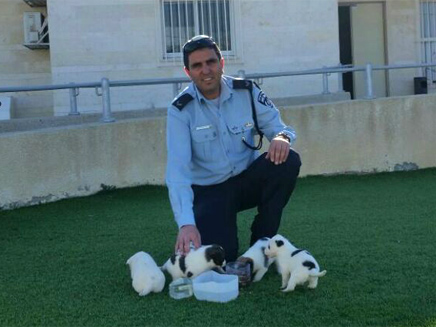 גורי הכלבים עם מפקד משטרת מצפה רמון (צילום: תנו לחיות לחיות)