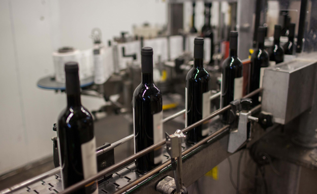 ייצור יין (צילום: יונתן סינדל / פלאש 90)
