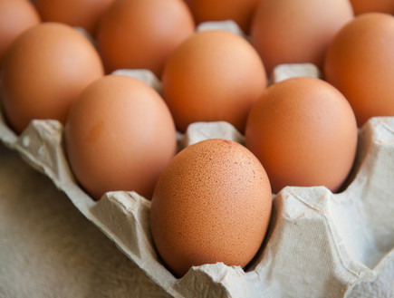 ביצים (צילום: siambizkit, Shutterstock)