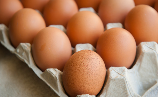 ביצים (צילום: siambizkit, Shutterstock)