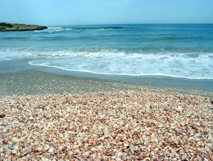חוף הבונים (צילום: רשות הטבע והגנים, יחסי ציבור)