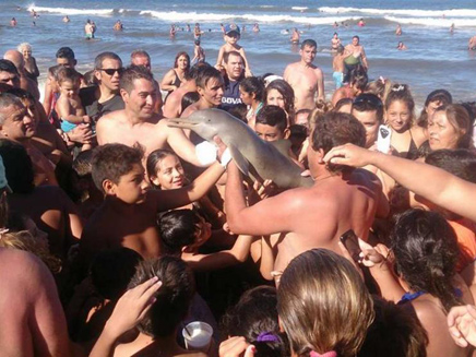 צילום סלפי עם דולפין הביא למותו (צילום: Hernan Coria via Facebook)