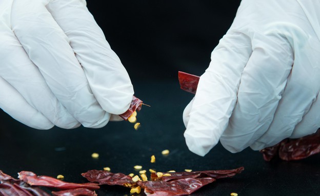 אריסה של הקוסם - מוציאים את הגרעינים