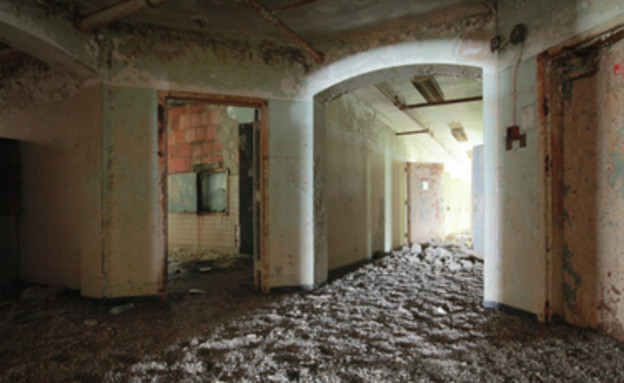 שלשת ציפורים 