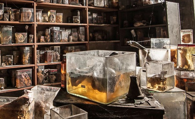 בית הספר לוטרינריה