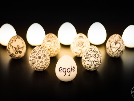 נורת ביצה (צילום: מתוך קיקסטארטר)