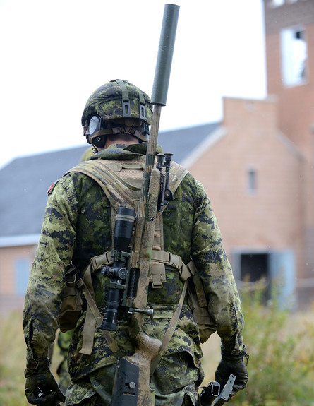 רובי הצלפים הטובים בעולם (צילום: צבא קנדה)