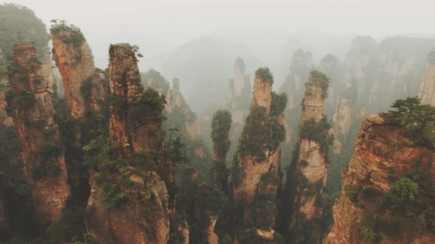 וולינגיואן