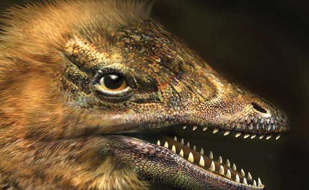 עוף דינוזאור (צילום: unilad)