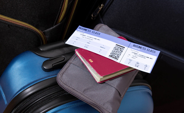 כרטיס טיסה (צילום: conejota, Shutterstock)