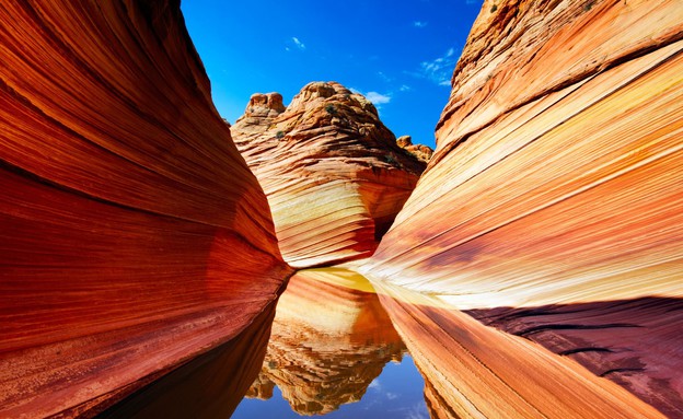 הגל, אריזונה (צילום: ronnybas, Shutterstock)