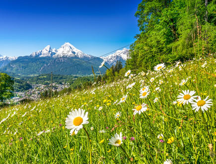 הנופים של האלפים, בוואריה, אוסטריה (צילום: canadastock, Shutterstock)