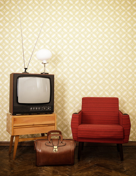 הסלון של ברק, ג, רהיטי וינטג' (צילום: Shutterstock)