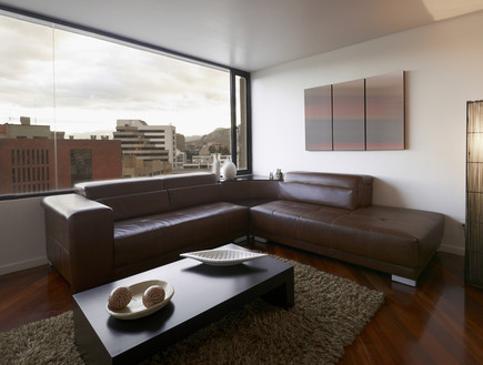 הסלון של עמרי (צילום: Shutterstock)